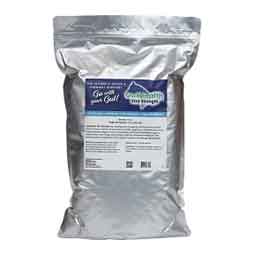 GutHealth Xtra Strength Hindgut Stabilizer Pellets for Horses  Basic Animal Health